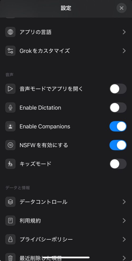 GrokでEnable CompanionsとNSFWを有効にする方法の説明画像